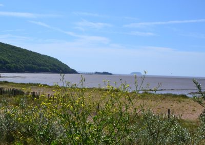 Coastal landscape with wildflowers and distant hills.